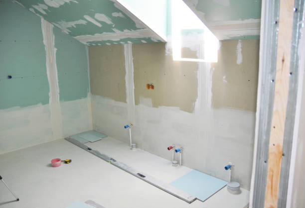 Best Basement Mold Removal  in Springdale, OH