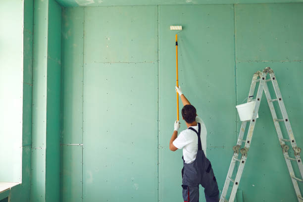Best Forensic Mold Investigation  in Springdale, OH