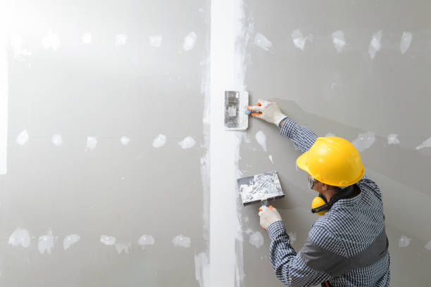 Best Commercial Mold Inspection  in Springdale, OH