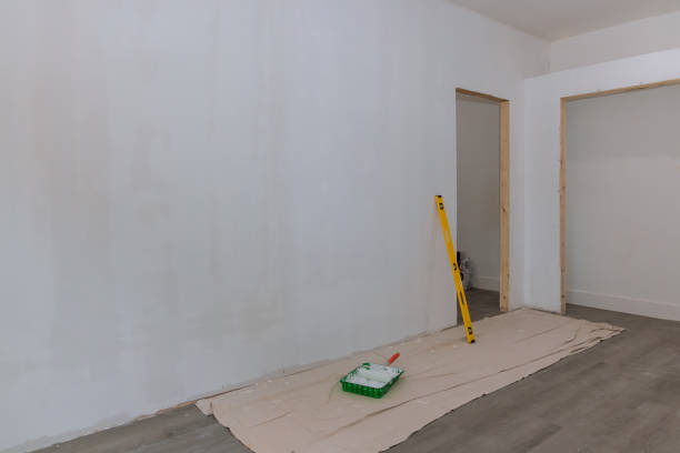 Mold Remediation for Vacation Homes in Springdale, OH